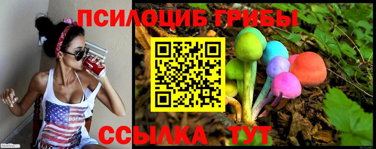 Псилоцибиновые грибы Psilocybine cubensis  Вход с VPN  Ростов Великий 