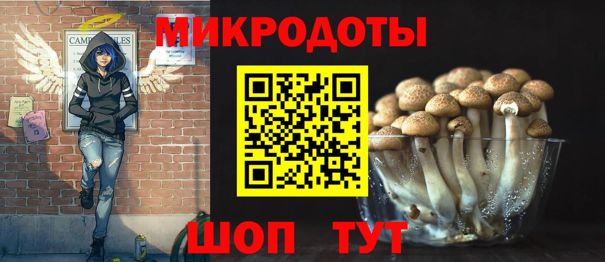 Псилоцибиновые грибы Cubensis Ростов Великий